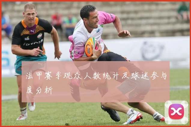 法甲赛季观众人数统计及球迷参与度分析