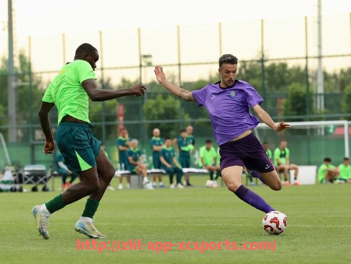 杏彩体育-西甲联赛全队积分榜排名与年度数据详解